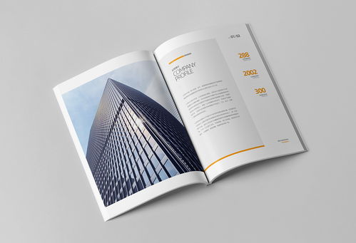 簡(jiǎn)約大氣，專(zhuān)業(yè)信賴(lài) 商務(wù)咨詢(xún)與投資企業(yè)公司畫(huà)冊(cè)